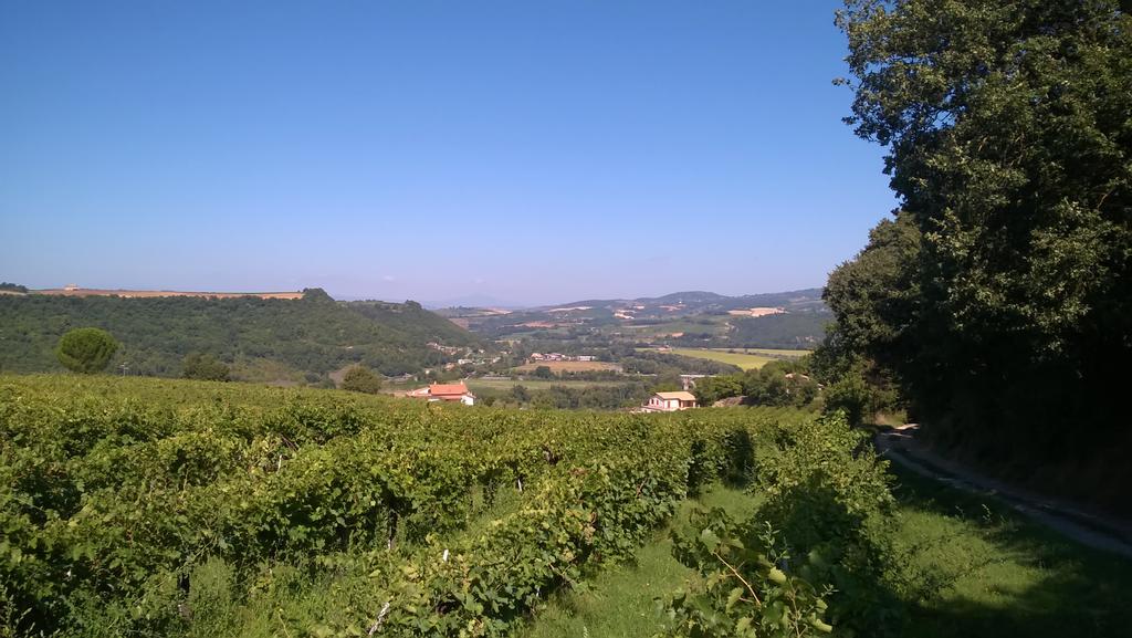 Agriturismo La Vite E L'Ulivo Apartamento Baschi Exterior foto