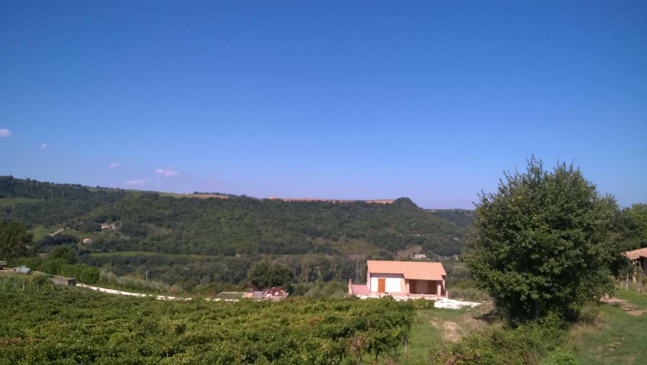 Agriturismo La Vite E L'Ulivo Apartamento Baschi Exterior foto