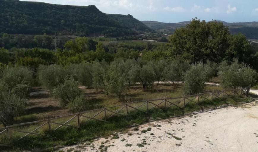 Agriturismo La Vite E L'Ulivo Apartamento Baschi Exterior foto