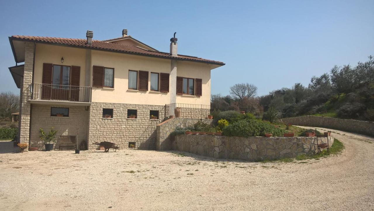 Agriturismo La Vite E L'Ulivo Apartamento Baschi Exterior foto